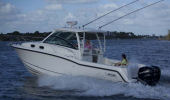 Boston Whaler 315 Conquest