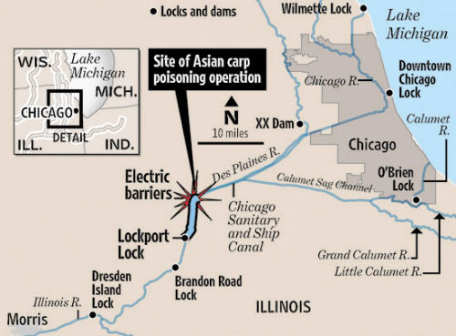 carp_found_map