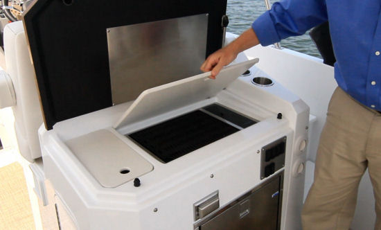 Cruisers Yachts 390 Express Coupe sink and grill