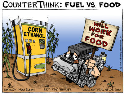 Fuel for Food