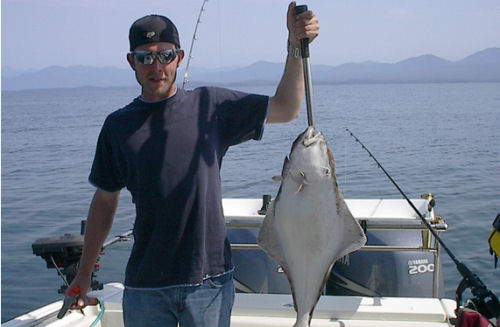 Hydra-Sports 2500 on Trailer