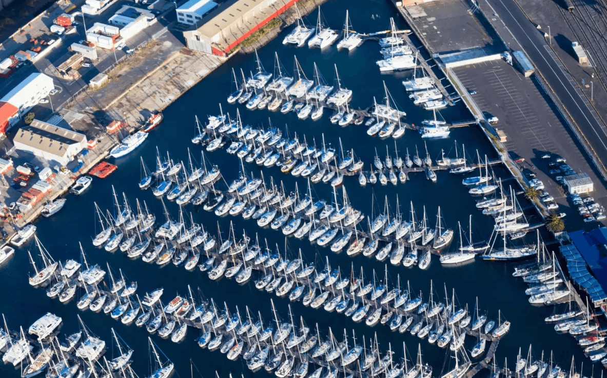 boats in a marina