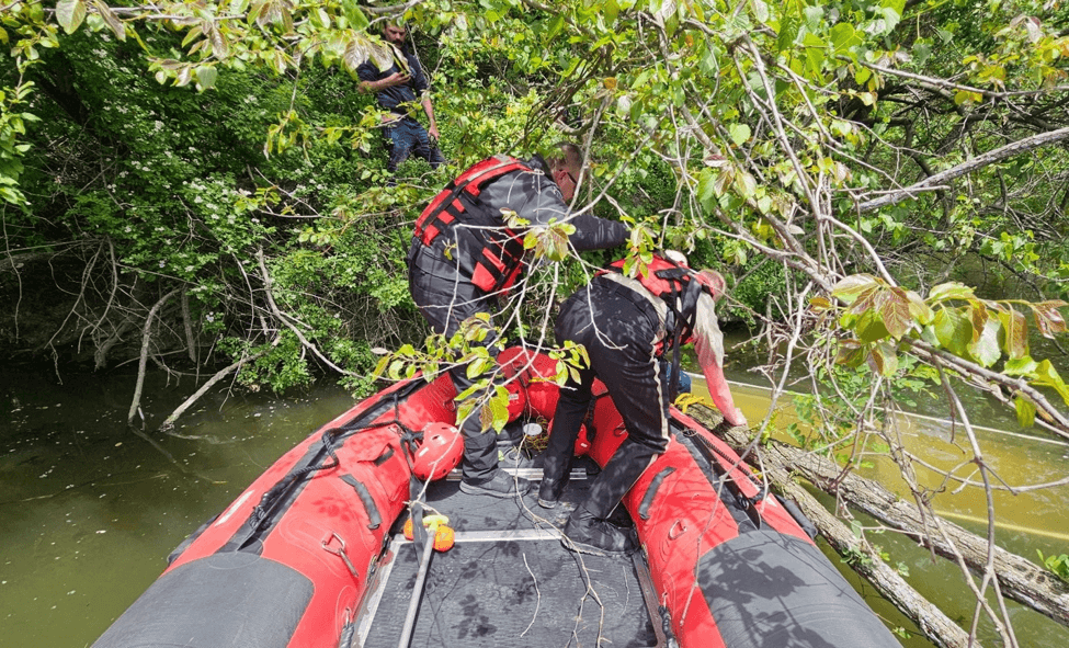Person being rescued from a tree