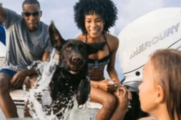 dog jumping from boat to water