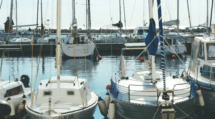 boats in a marina