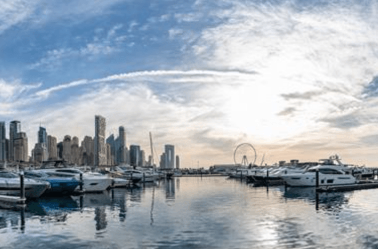 view of marina on the horizon