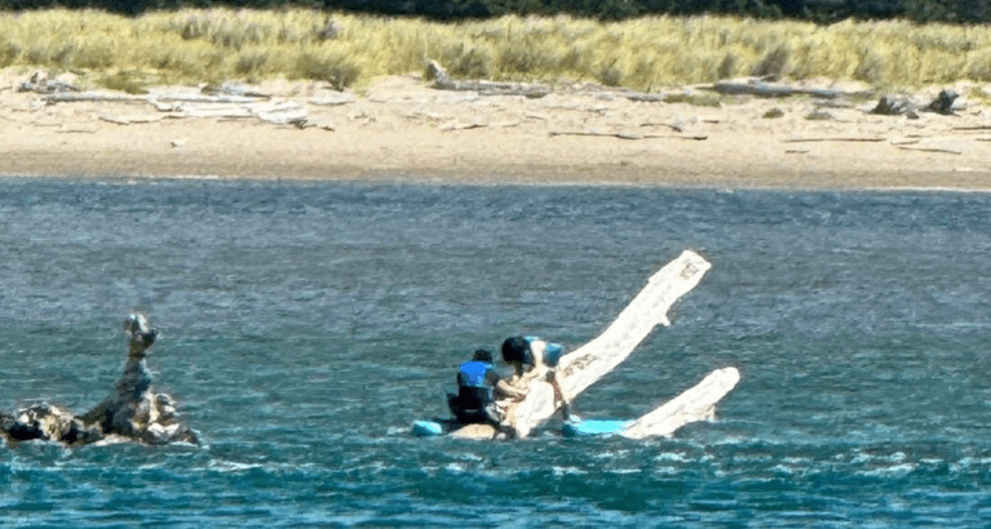 Paddleboarders on a sand bar