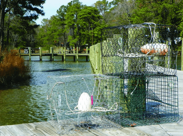 crab traps