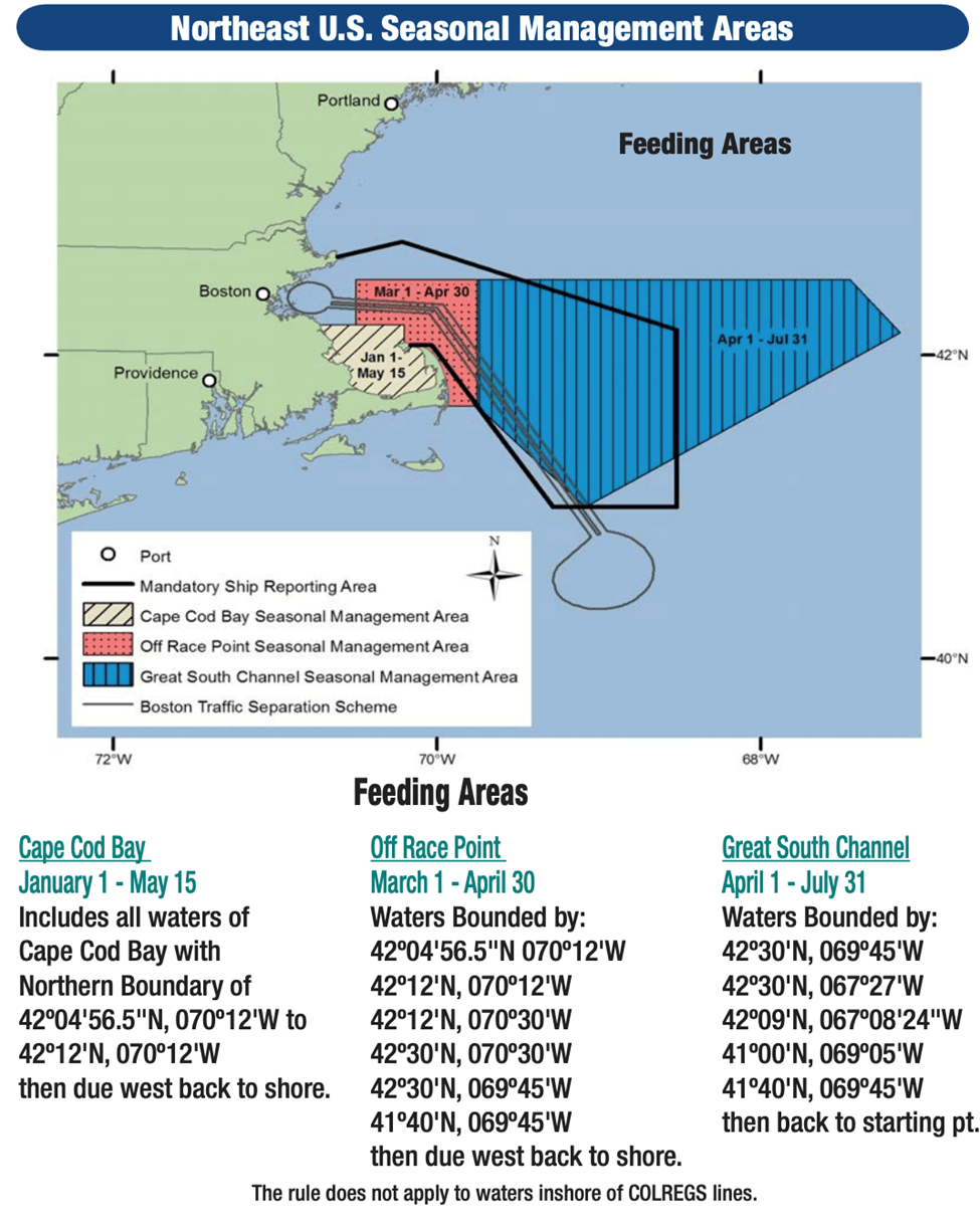 Northeast US Feeding Areas