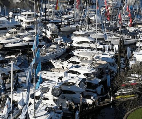 boats in marina