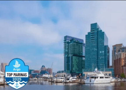 marina surrounded with buildings