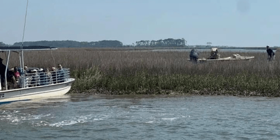 A Stranded boat in marsh