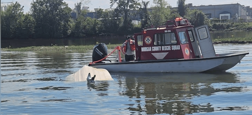 Rescue boat in the water