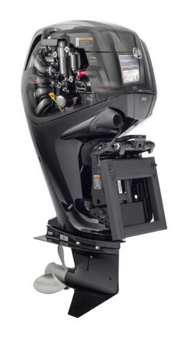 Repowering with Mercury