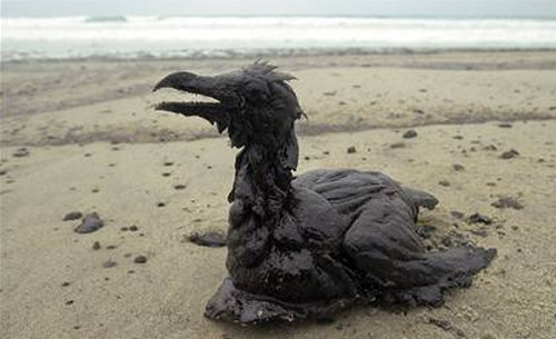 Accident of the Week