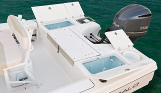 Robalo 226 Cayman Interior