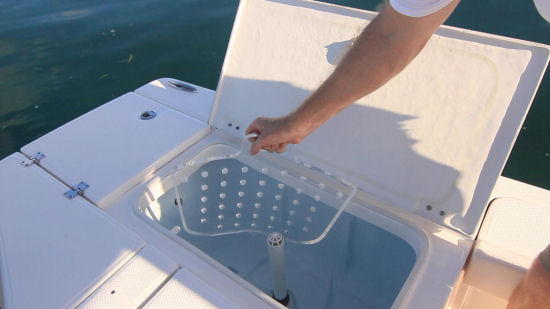 Robalo 226 Cayman livewell divider