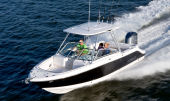 Robalo R247