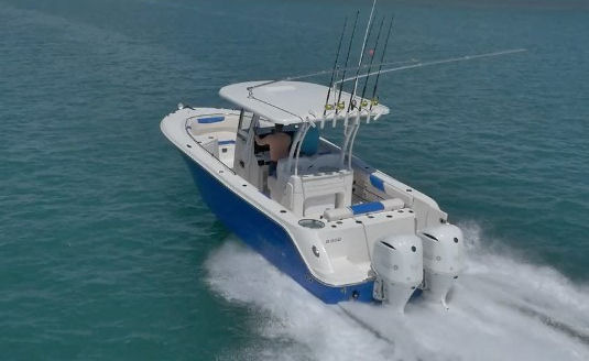 Robalo R302