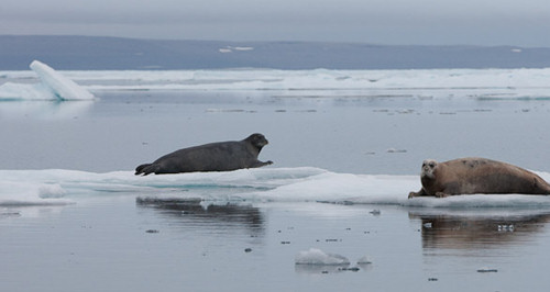 Rowing NW Passage Warranty