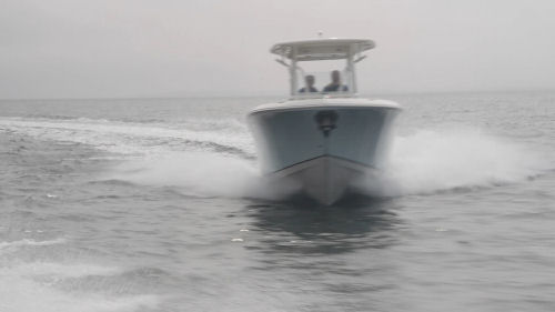 Sailfish 290CC running shot