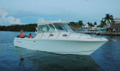 Sailfish 320 Express Walk Around