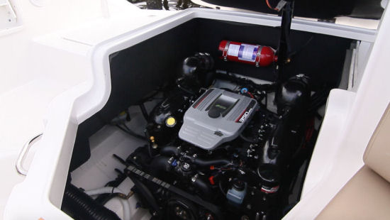 Sea Ray 250 SLX engine
