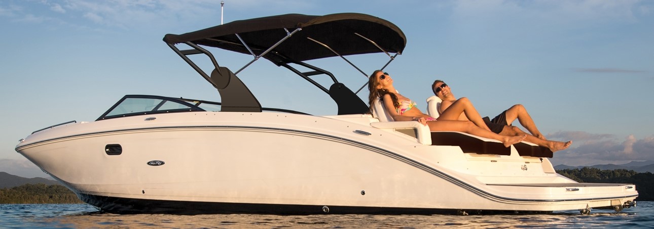 Sea Ray SDX 290
