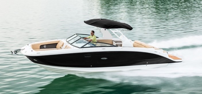 Sea Ray SDX 290