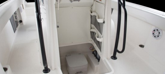 Wellcraft 222 Scarab Offshore head