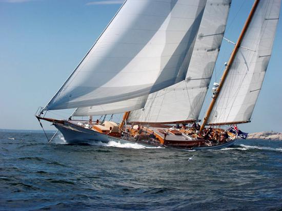 Whitehawk sailing