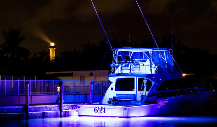  Boaton Boat LED Night Fishing Lights, Courtesy Lights, Deck  Lights, Marine Boat Led Lights, Boat Interior Lights, Yacht Lights For  Pontoon Boat, Bass Boat, Yacht