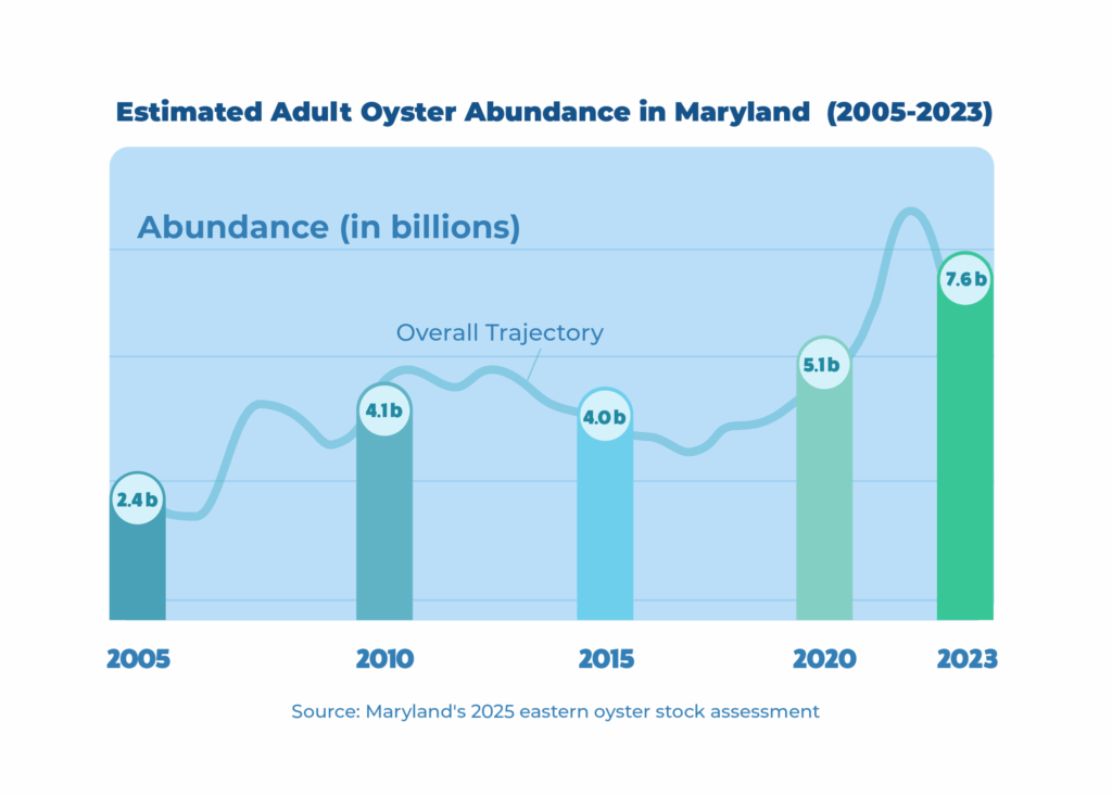 Estimated adult oyster abundance in Maryland (2005-2023) chart