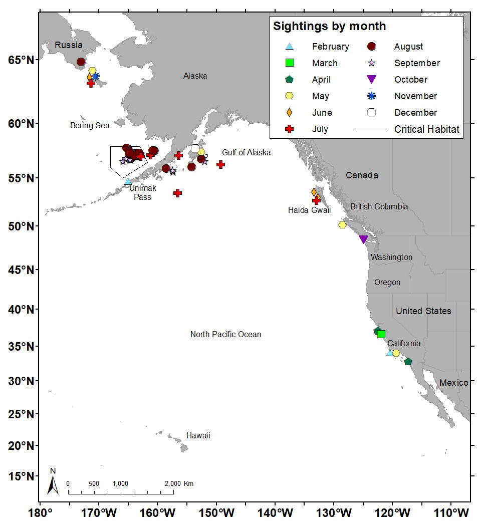 Eastern North Pacific Right Whale Sightings-All contemporary (2006 to 2023) sightings of eastern North Pacific right whales color coded by month.