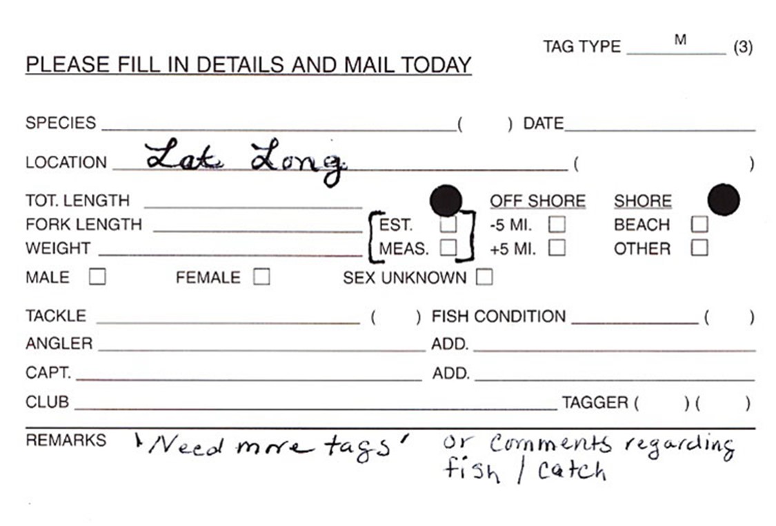 Tag card given to program volunteers to fill out for each shark they tag