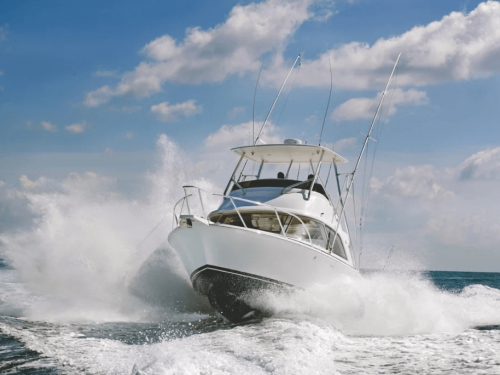 Bertram 35FB running