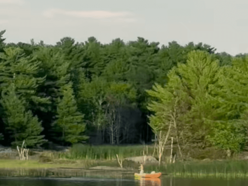 Boomershines' Rex solo paddle