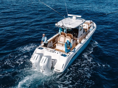 Everglades 315 CC fishing