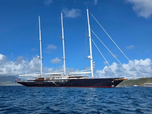 Koru in the Caribbean