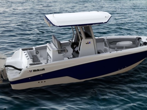 Wellcraft 243 Fisherman on the water