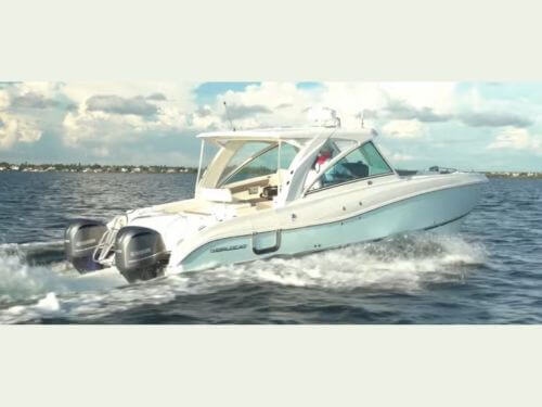 World Cat 32 on the water