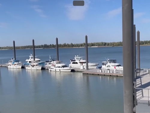 boats tied to a dock