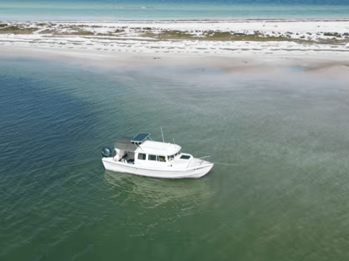 Captain Trip Anclote Keys