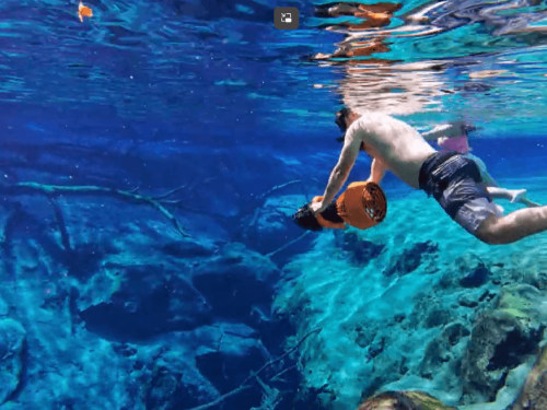 Capt Trip exploring Cypress Springs Florida 