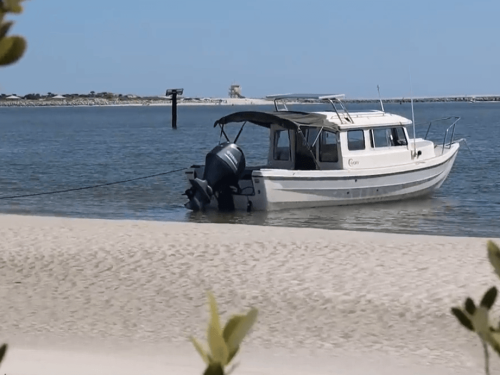 Captain Trip N/E Florida 