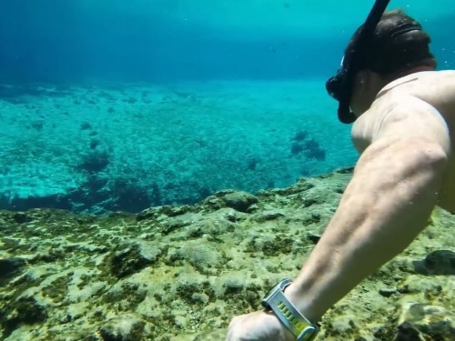 Capt Trip and Florida Springs