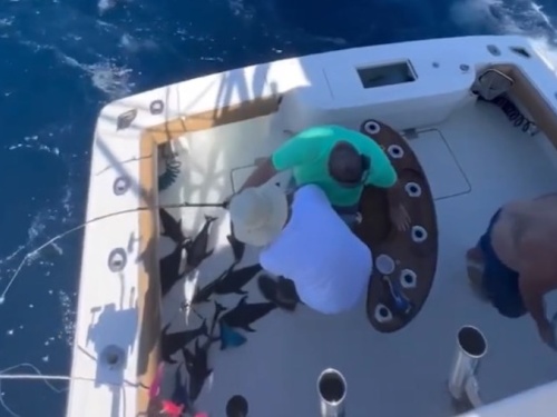 Protocol Boat Sinking