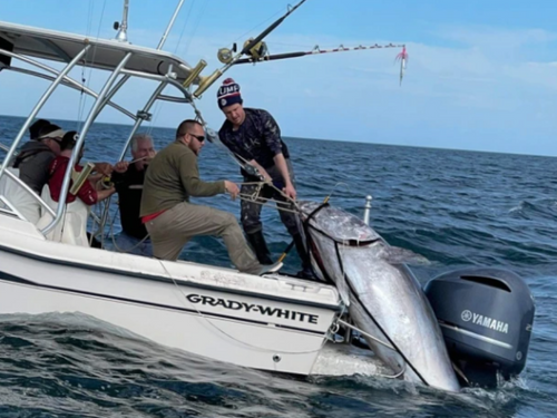 Big Tuna missing fisherman