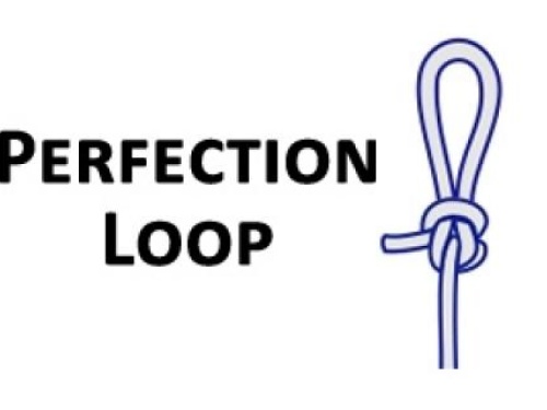 Perfection loop fishing knot