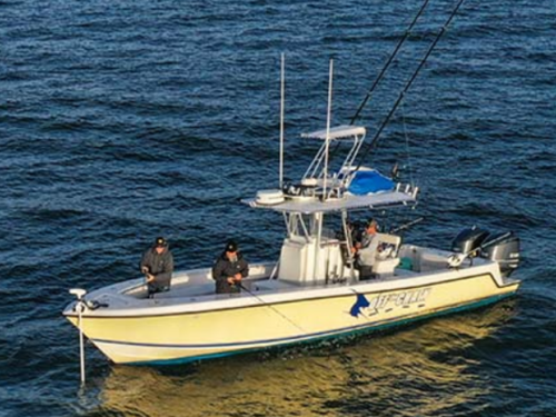 Offshore boat with a trolling motor